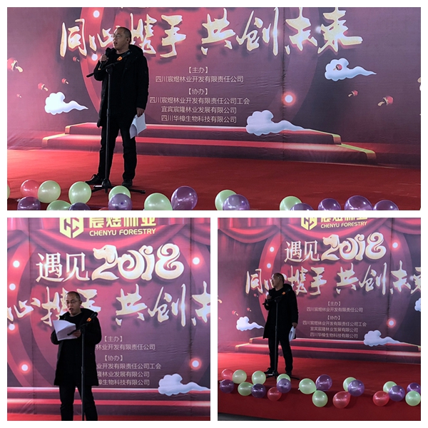王总讲话.jpg